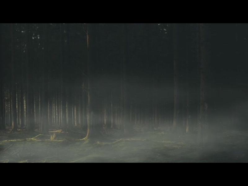 LUMBERJACK DAD INNER