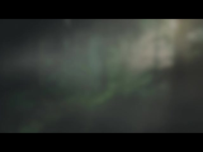 LUMBERJACK DAD RAYS ALT