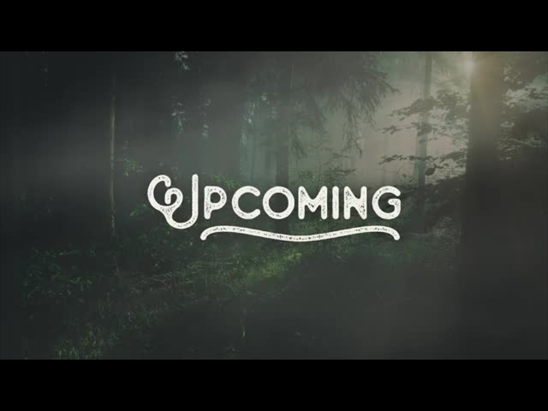 LUMBERJACK DAD UPCOMING