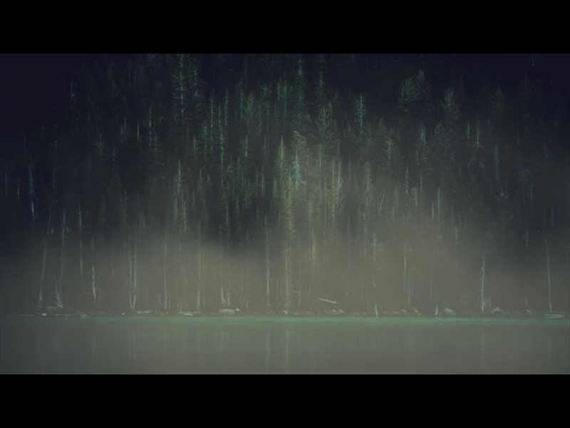 LUMBERJACK SHORELINE