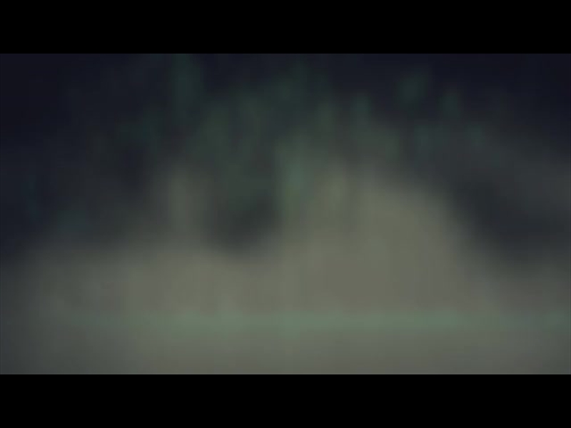 LUMBERJACK SHORELINE ALT