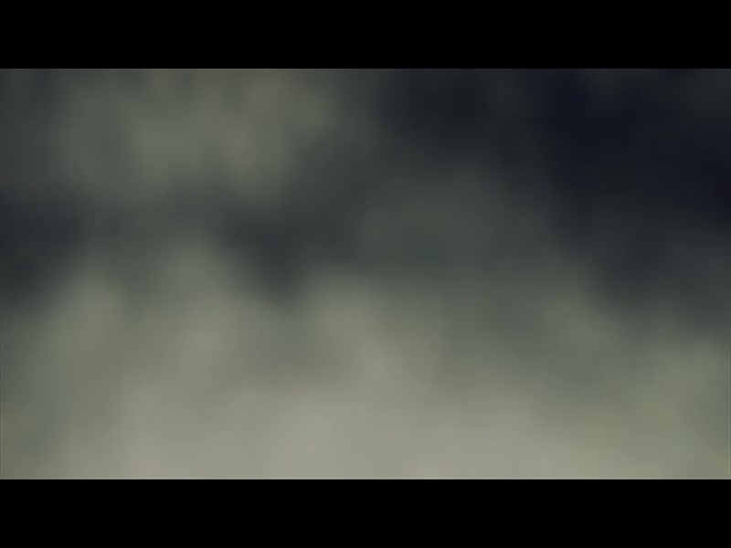 LUMBERJACK TREELINE ALT