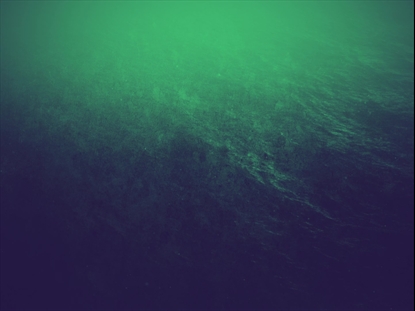 MISTY WATER WAVES TINT BLANK