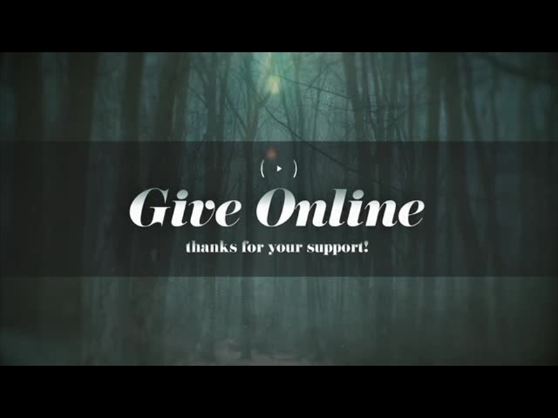 MOODY AUTUMN GIVE STREAM