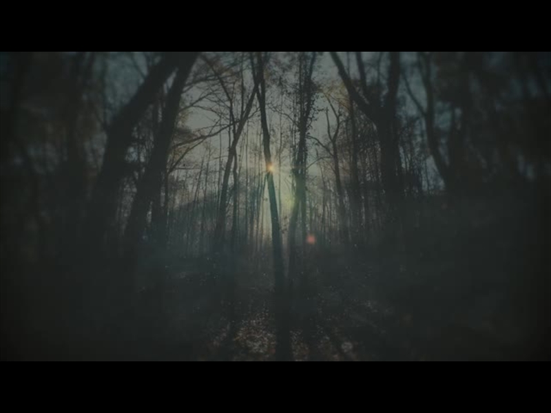 MOODY AUTUMN INTERIOR