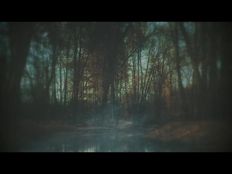 MOODY AUTUMN STREAM