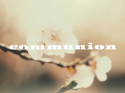 MUTED SPRING COMMUINION