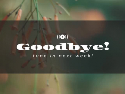 MUTED SPRING EXIT STREAM