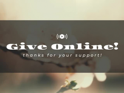 MUTED SPRING GIVE STREAM