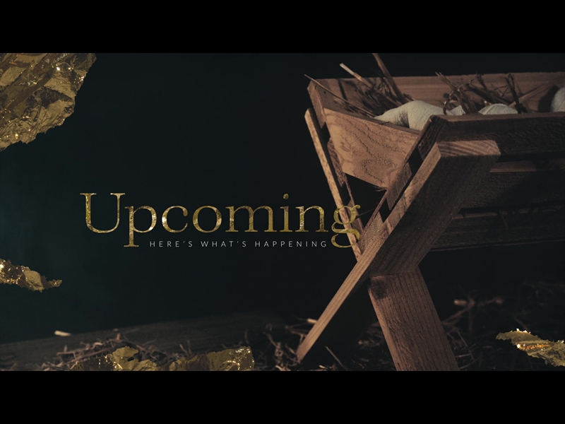 NATIVITY MANGER UPCOMING