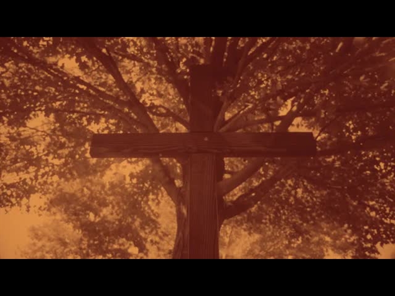 NATURE CROSS 10 DUOTONE