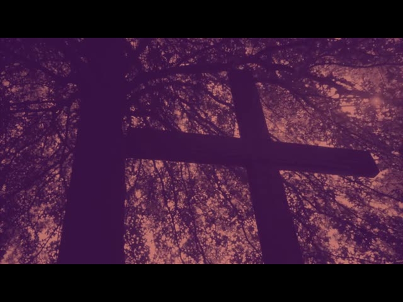 NATURE CROSS 12 DUOTONE