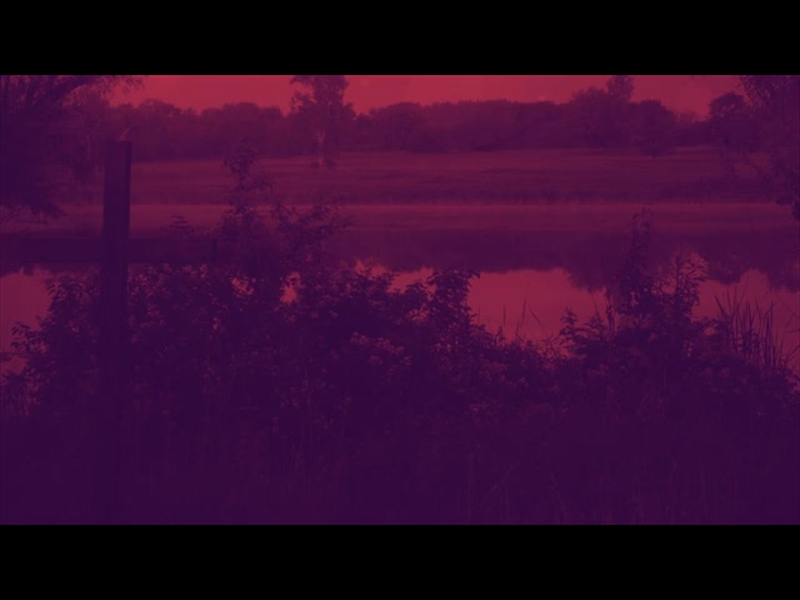 NATURE CROSS 2 DUOTONE