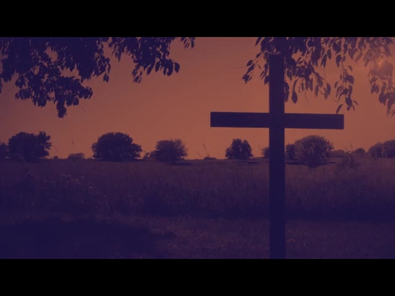 NATURE CROSS 3 DUOTONE