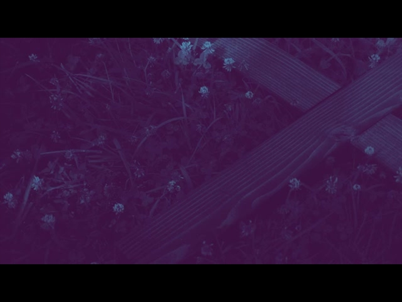 NATURE CROSS 4 DUOTONE