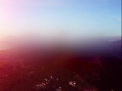 NEW BEGINNING BRIGHT