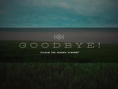 OPEN FIELDS EXIT STREAM