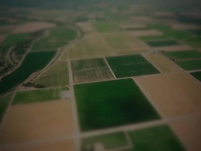 OPEN FIELDS PATCHWORK
