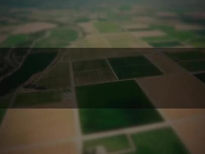 OPEN FIELDS PATCHWORK BOX