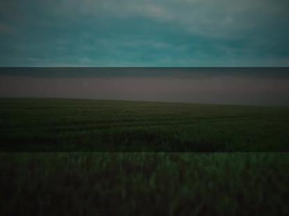 OPEN FIELDS STAFE BOX