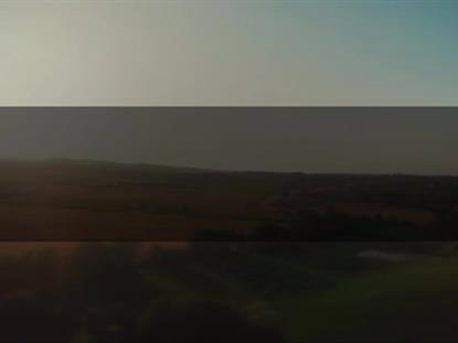 OPEN FIELDS SWEEP BOX