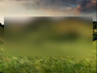 PAINTED NATURE VALLEY ALT