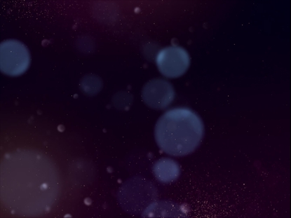 SPARKLY CHRISTMAS ELEGANT