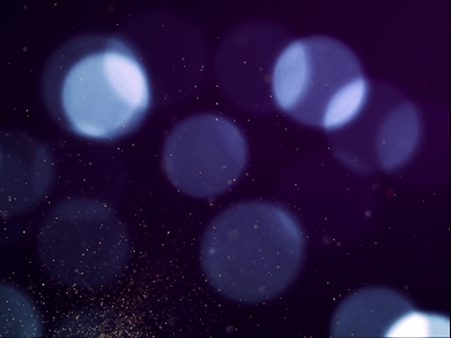 SPARKLY CHRISTMAS LOST