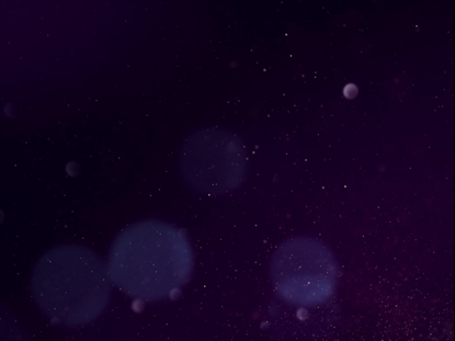 SPARKLY CHRISTMAS PURPLE