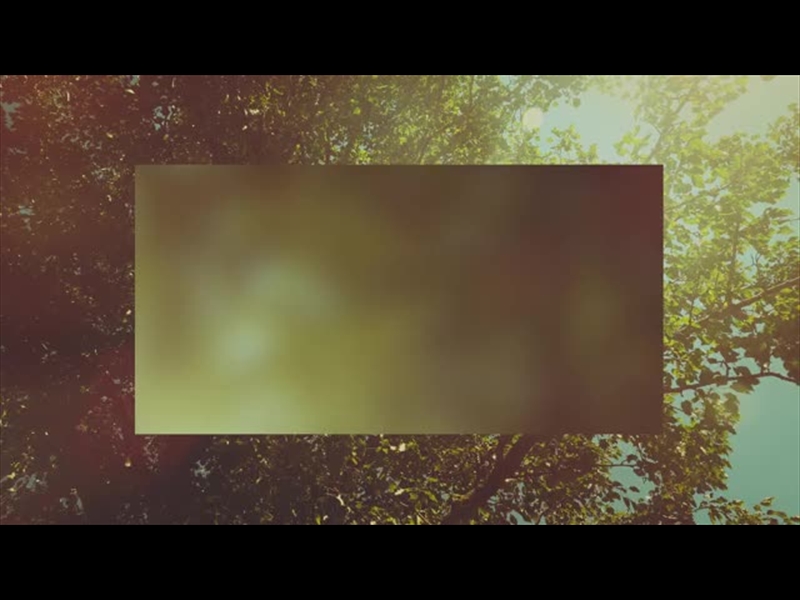 SUMMER BRIGHT FOLIAGE ALT