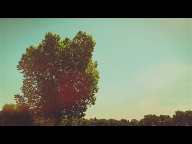 SUMMER BRIGHT FRAMED