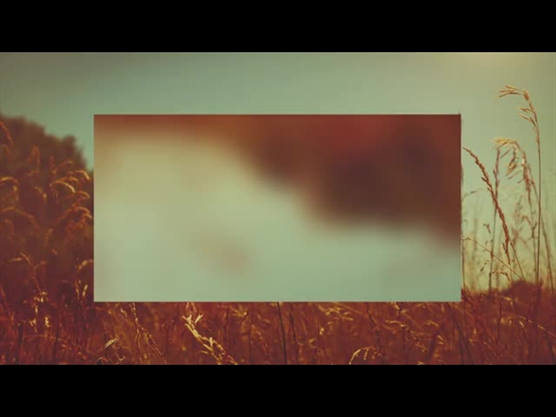 SUMMER BRIGHT GRASSES ALT