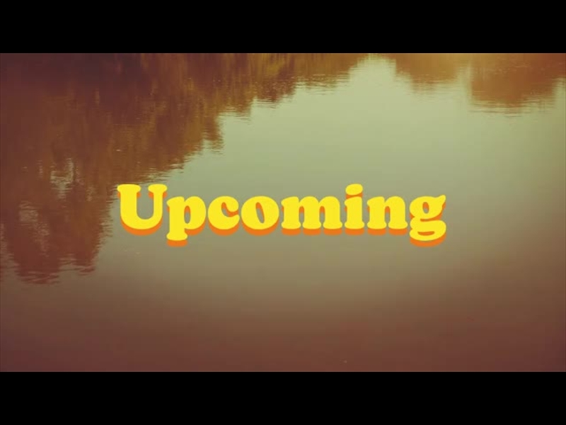 SUMMER BRIGHT UPCOMING