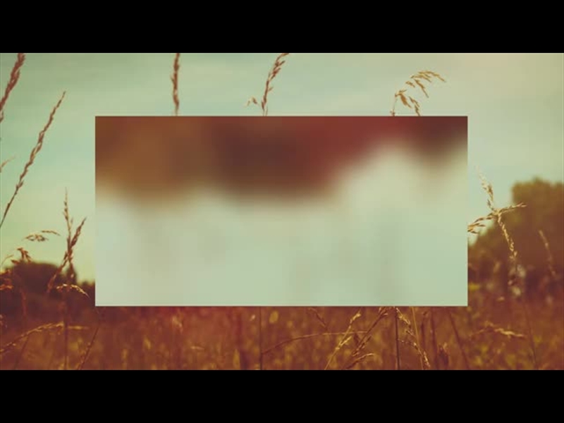 SUMMER BRIGHT WHEAT ALT