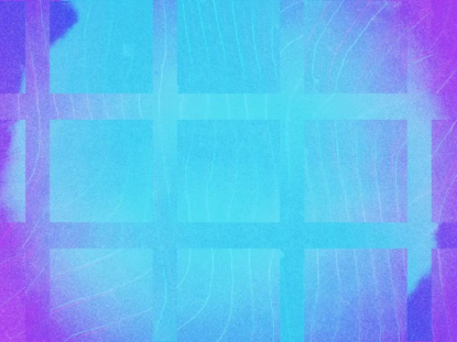 SUMMER VIBES COOL TONE ALT