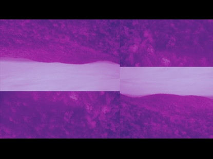 THANKSGIVING FLIGHT AUTUMN ALT