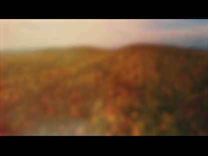 THANKSGIVING FLIGHT AUTUMN BLUR