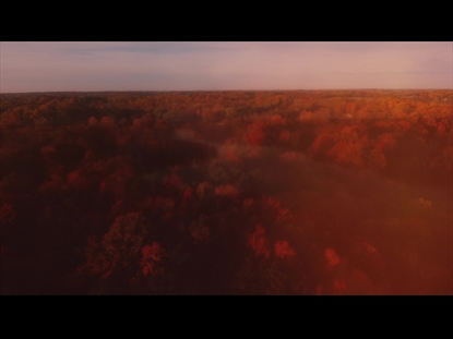 THANKSGIVING FLIGHT FOREST