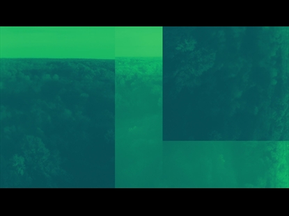 THANKSGIVING FLIGHT FOREST ALT