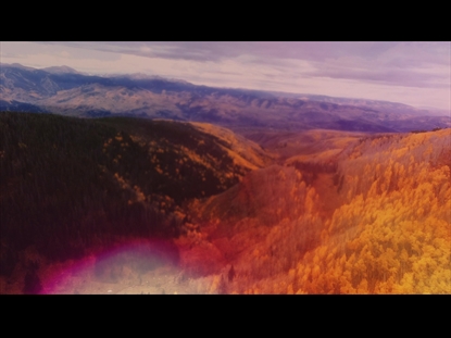 THANKSGIVING FLIGHT VALLEY