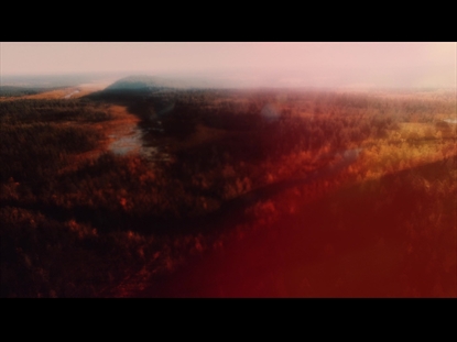 THANKSGIVING FLIGHT VISTA