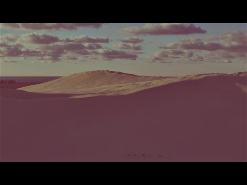 The Dunes Collection | Shift Worship | Playback Media Store