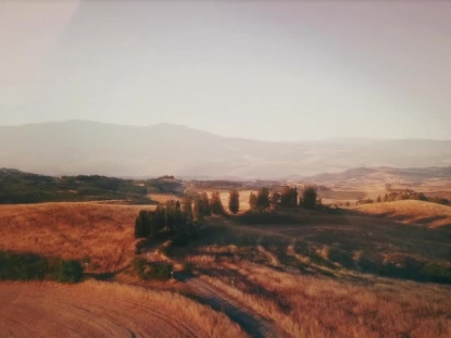 THE HILLS FIELDS ALT