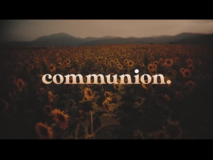 VINTAGE SUNFLOWERS COMMUNION