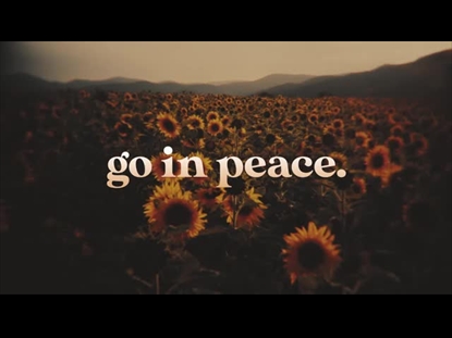 VINTAGE SUNFLOWERS EXIT