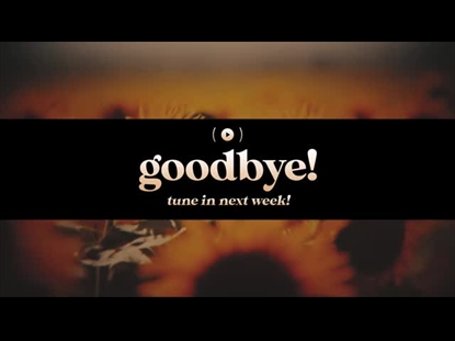 VINTAGE SUNFLOWERS EXIT STREAM