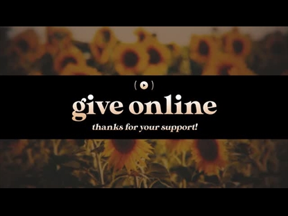 VINTAGE SUNFLOWERS GIVE STREAM