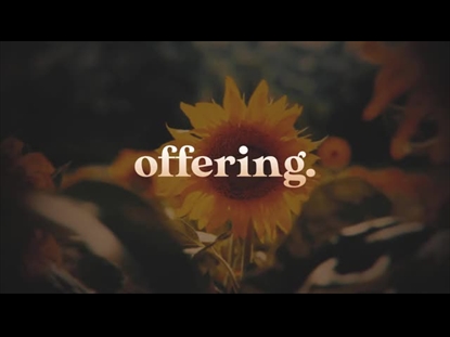 VINTAGE SUNFLOWERS OFFERING