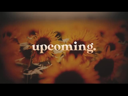 VINTAGE SUNFLOWERS UPCOMING