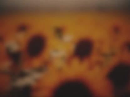 VINTAGE SUNFLOWERS WARM BLUR